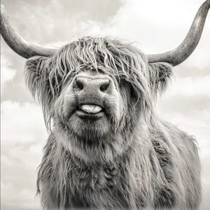 Meet your Posher, Clay